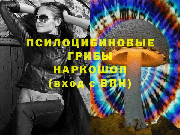 шишки Костерёво