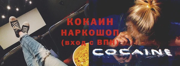 шишки Костерёво