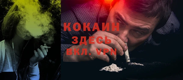 шишки Костерёво