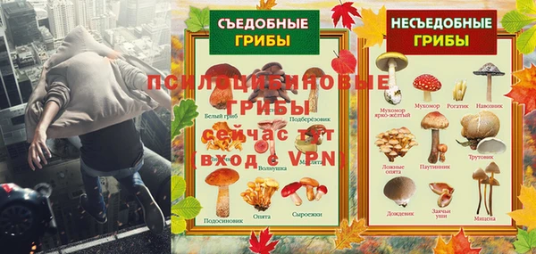 мескалин Коряжма
