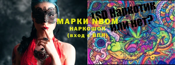 шишки Костерёво