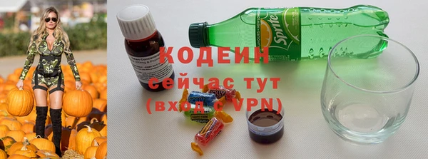 шишки Костерёво