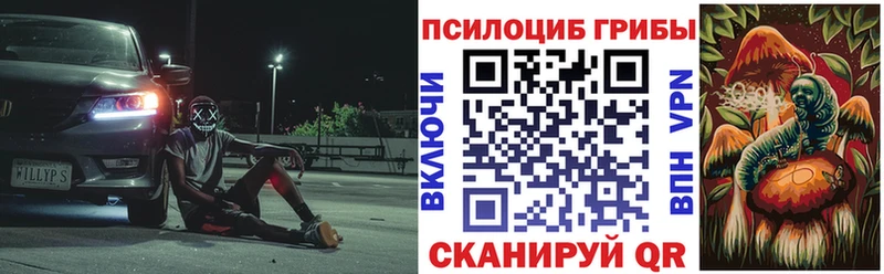 даркнет сайт  Ачхой-Мартан  Галлюциногенные грибы Psilocybine cubensis 