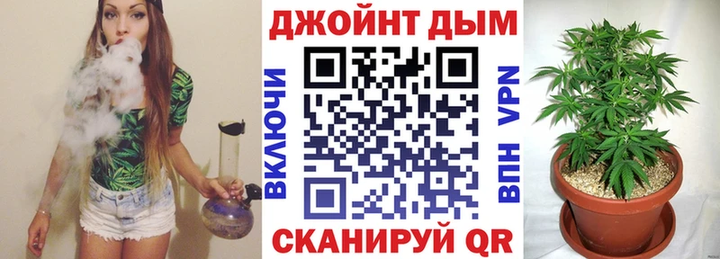 Конопля конопля  как найти наркотики  Ачхой-Мартан 
